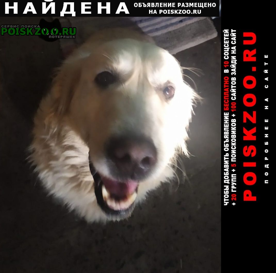 ���� ������� ������ ��������, �������