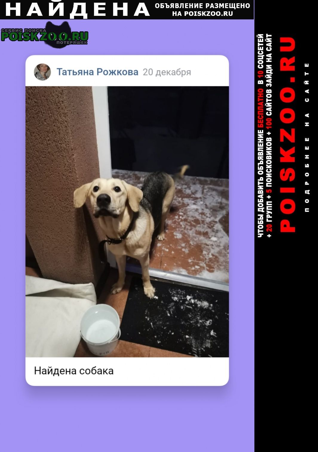 Найдена собака Воскресенск