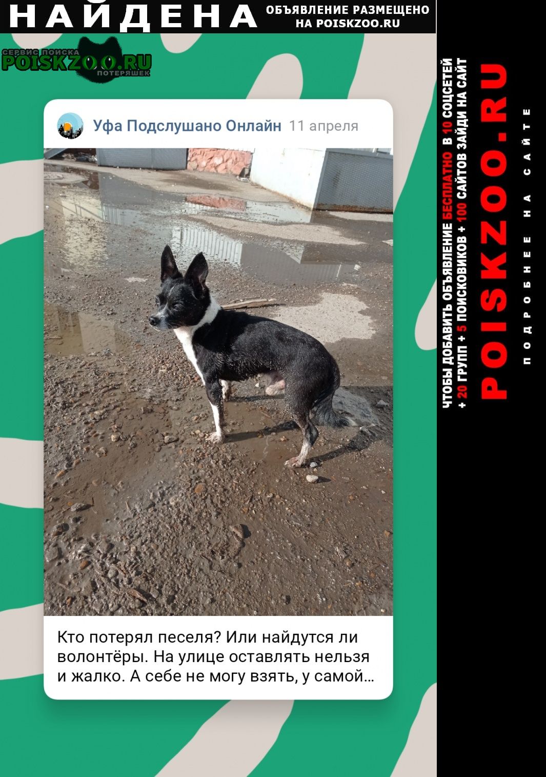 Найдена собака кобель найдёт в районе ваза Уфа