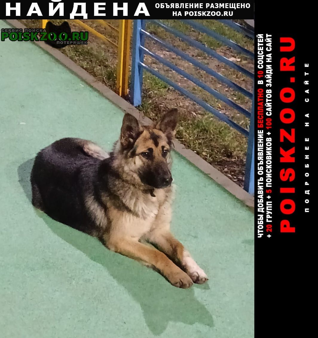 Найдена собака лежит на детской площадке Подольск