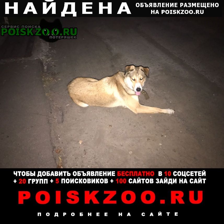 Найдена собака пес Москва