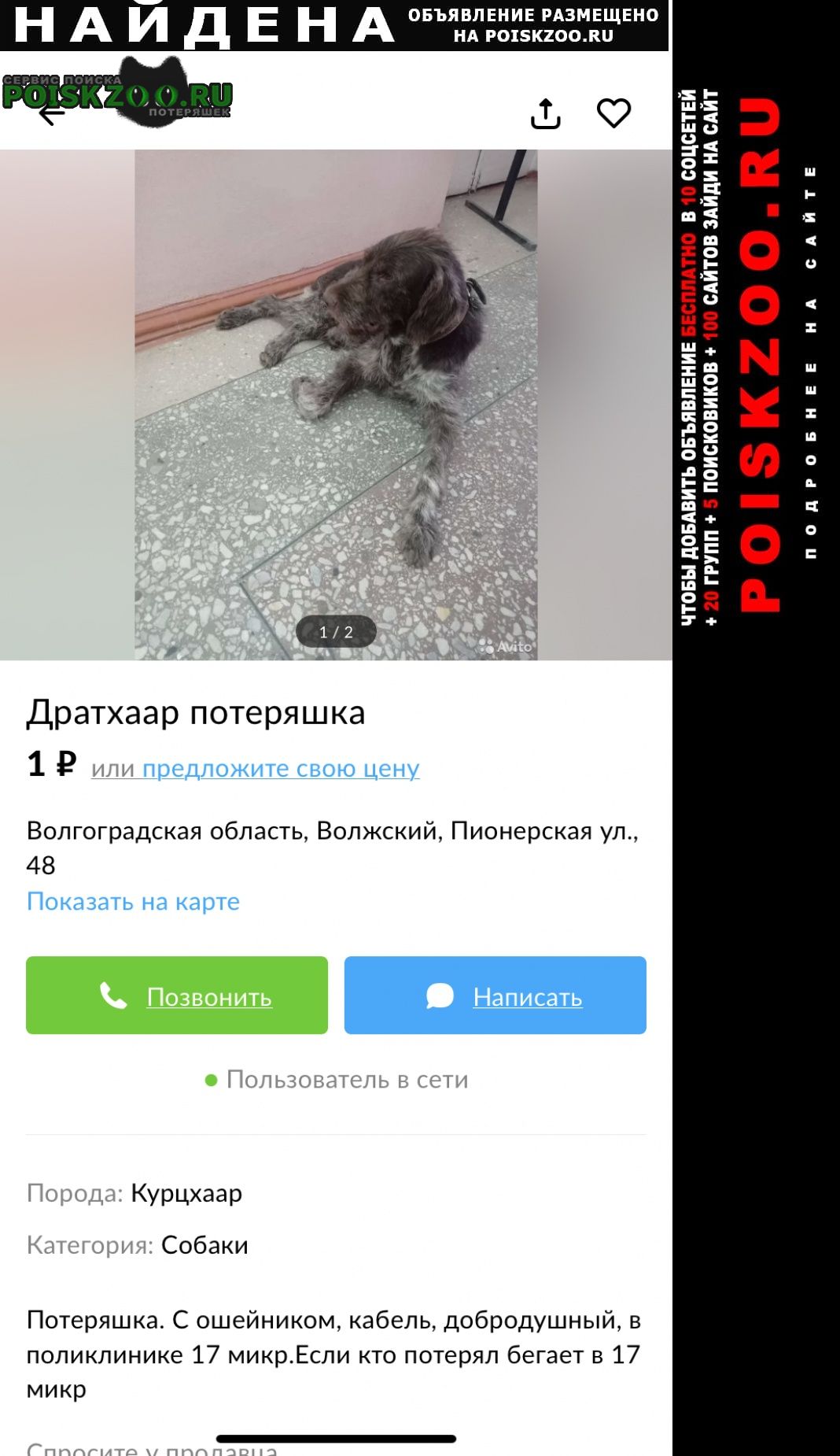 Найдена собака помогаю информационно Волжский (Волгоградская обл.)