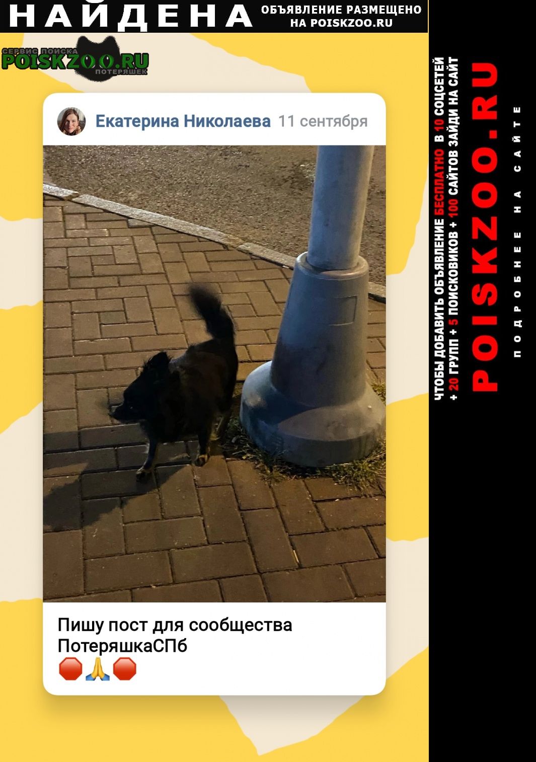 Найдена собака чёрный шпиц в центре спб Санкт-Петербург