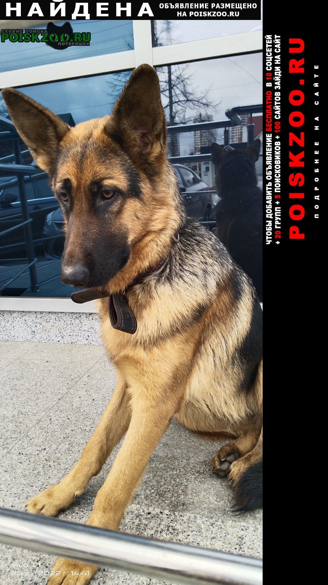 Найдена собака сегодня был на красных партизан 18, мож Краснодар
