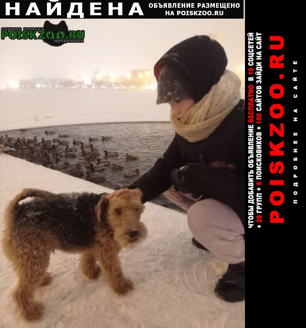 Найдена собака кобель Екатеринбург
