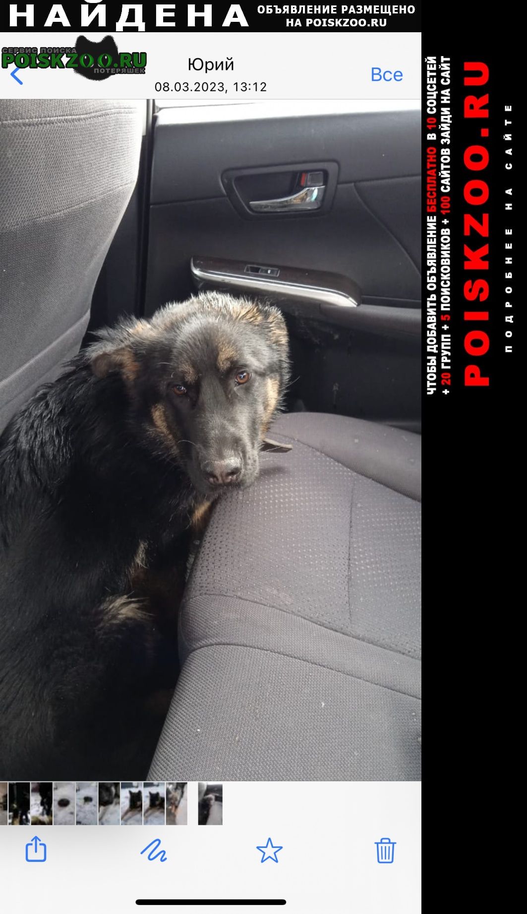 Москва Найдена собака на киевском шоссе