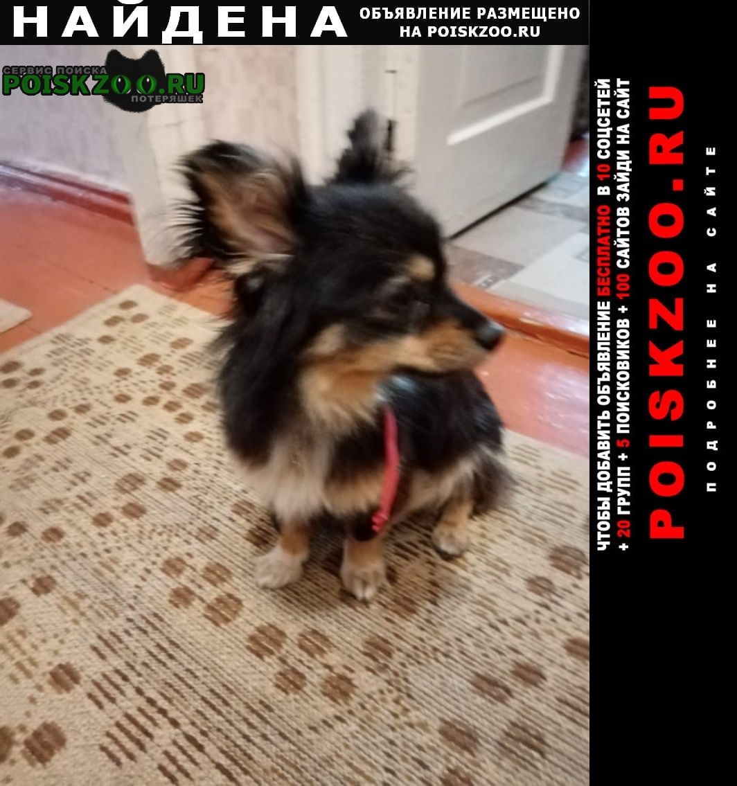 Найдена собака 4 июля центр, памятник козе Урюпинск