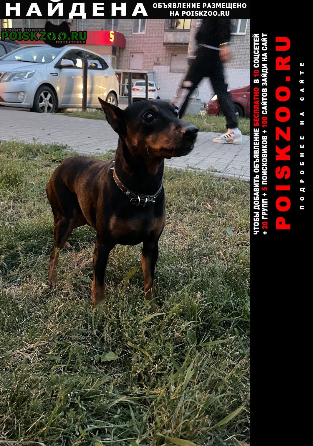         23 