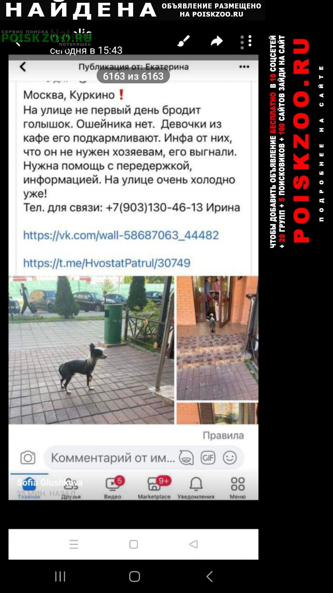 Найдена собака помогите найти хозяина Москва