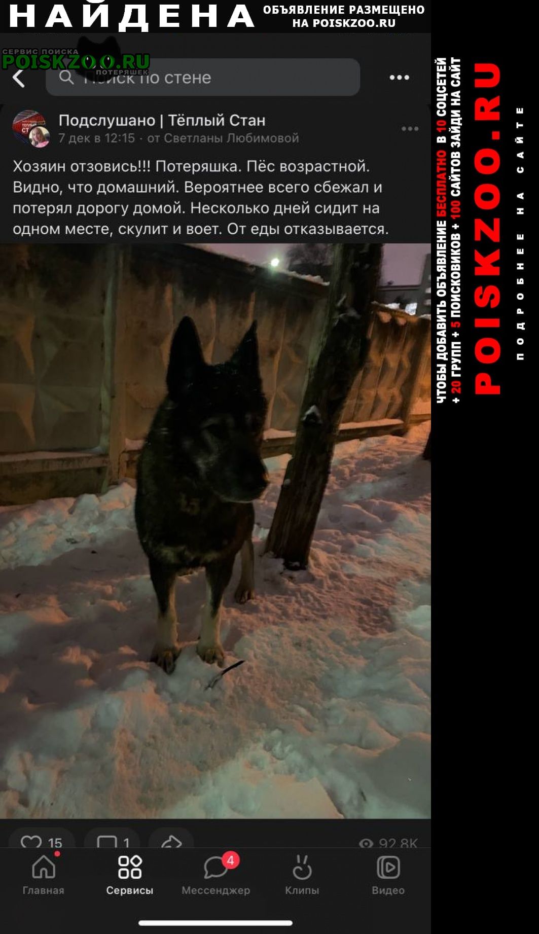 Найдена собака не дается в руки. зимует на улице Москва