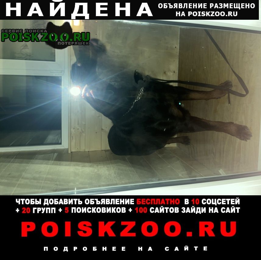     ,   -