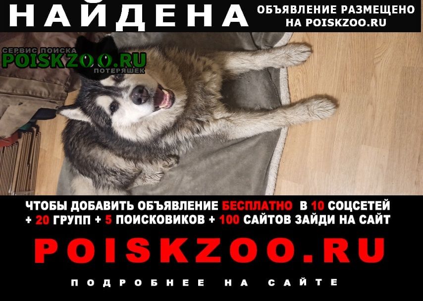    / 