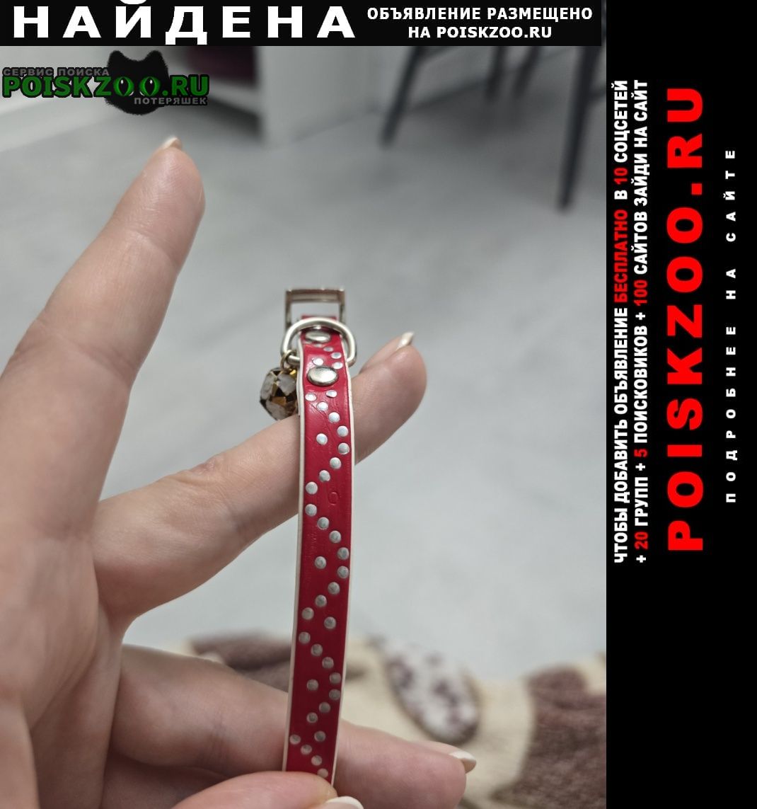        2-4 , 