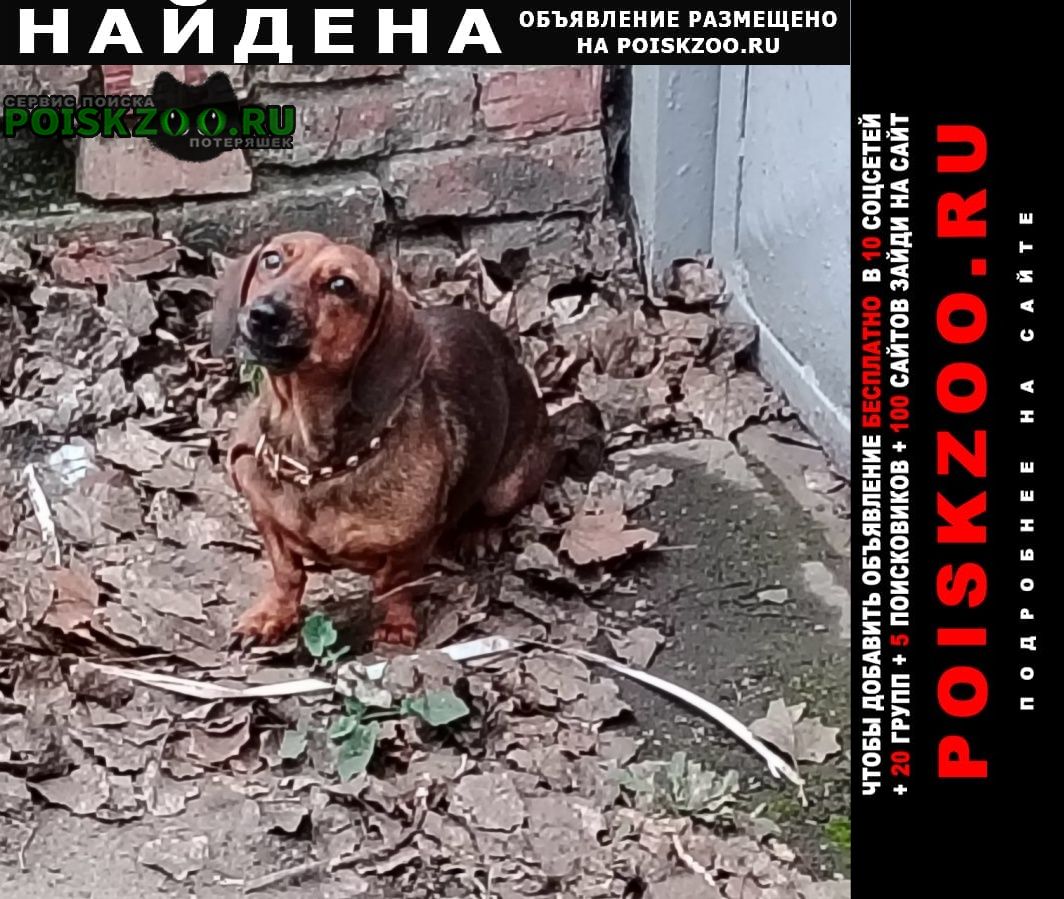 ���� ������� ������