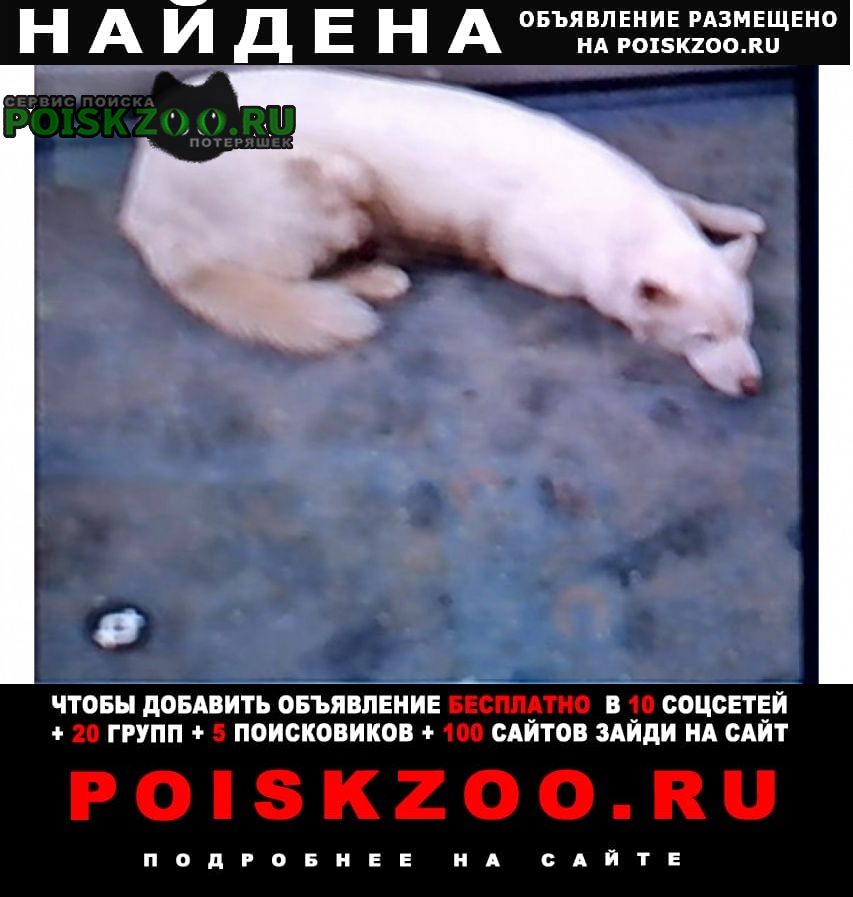 ���� ������� ������ ������ ����� ������. �����