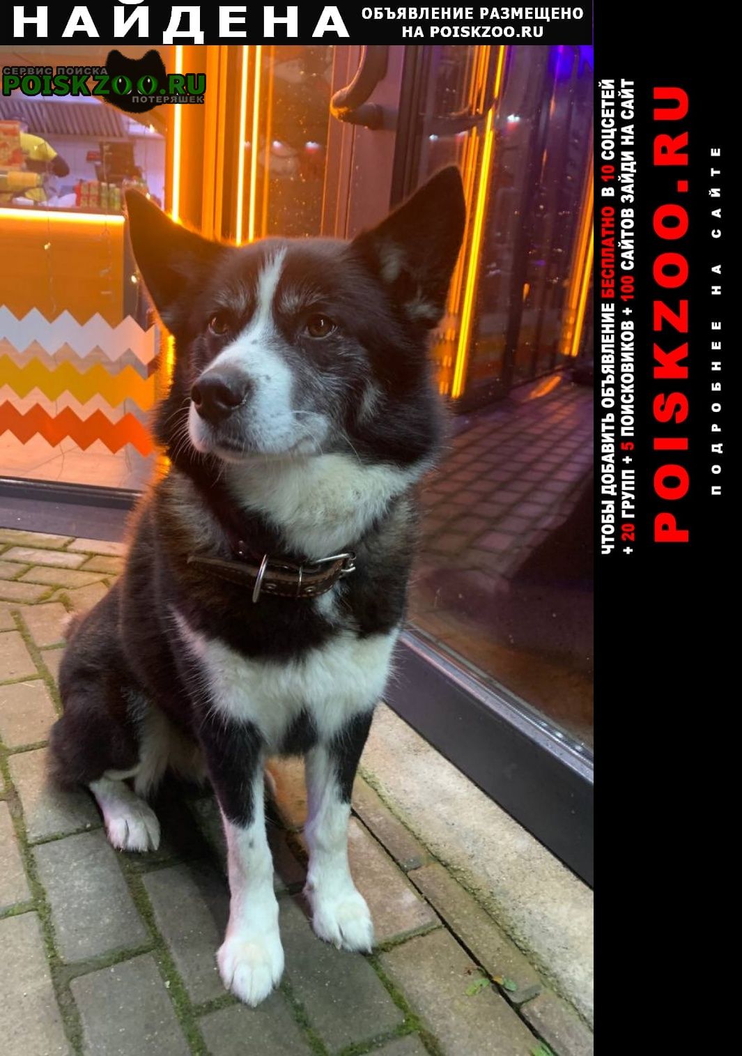 ���� ������� ������ ������� ��