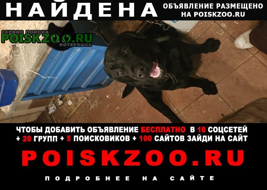 ���� ������� ������ ������ ������ ��������. ������, ��������