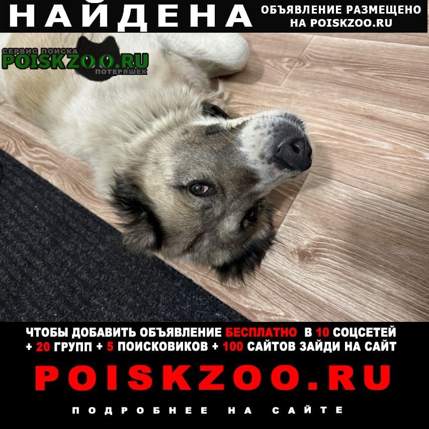 ���� ������� ������