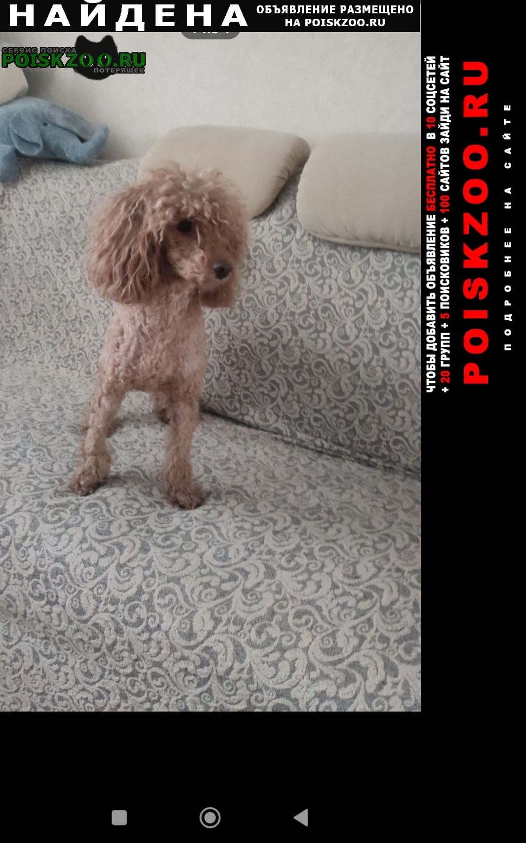 ���� ������� ������ ������