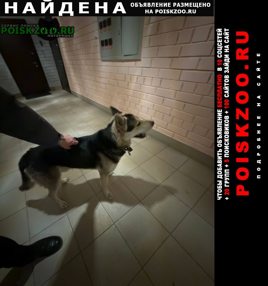 ���� ������� ������ ������, � ��������� ���