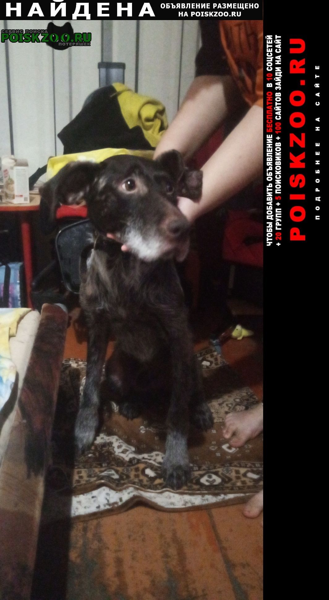 ���� ������� ������ ������ ����� ��� �����