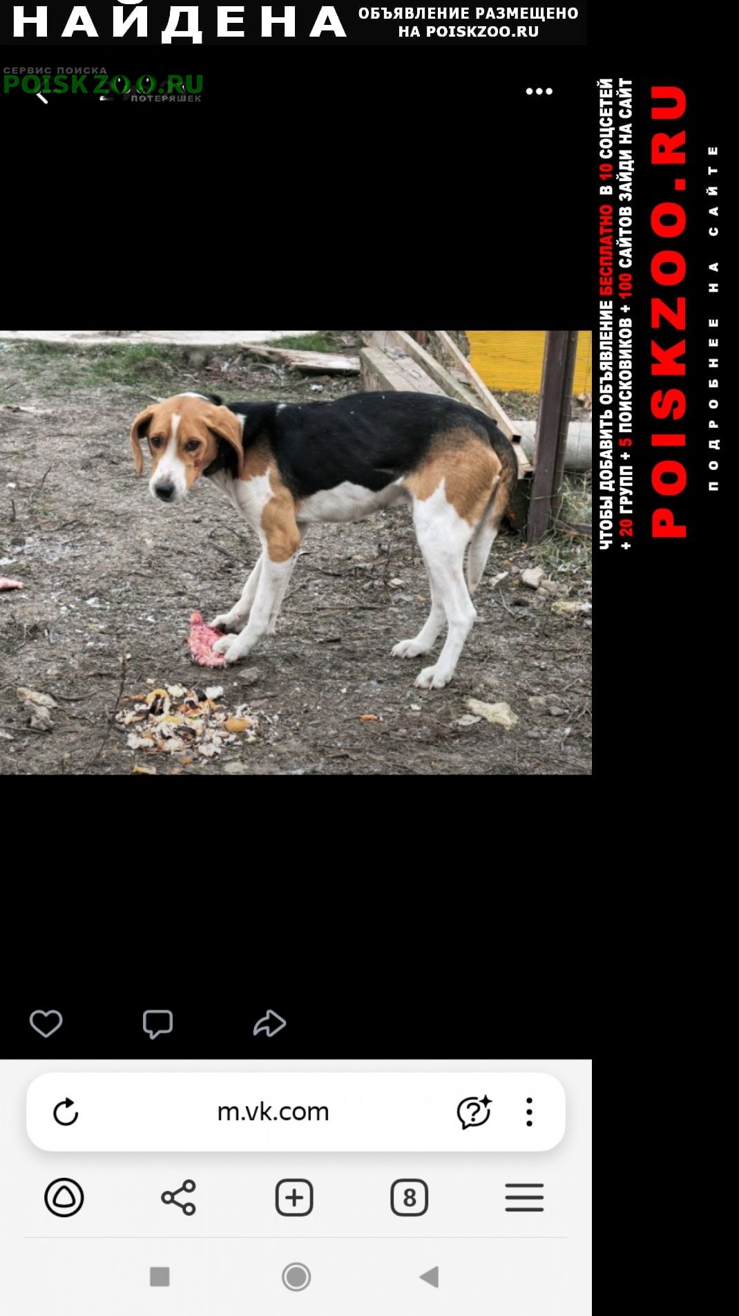 ���� ������� ������ ��������� ������, �����