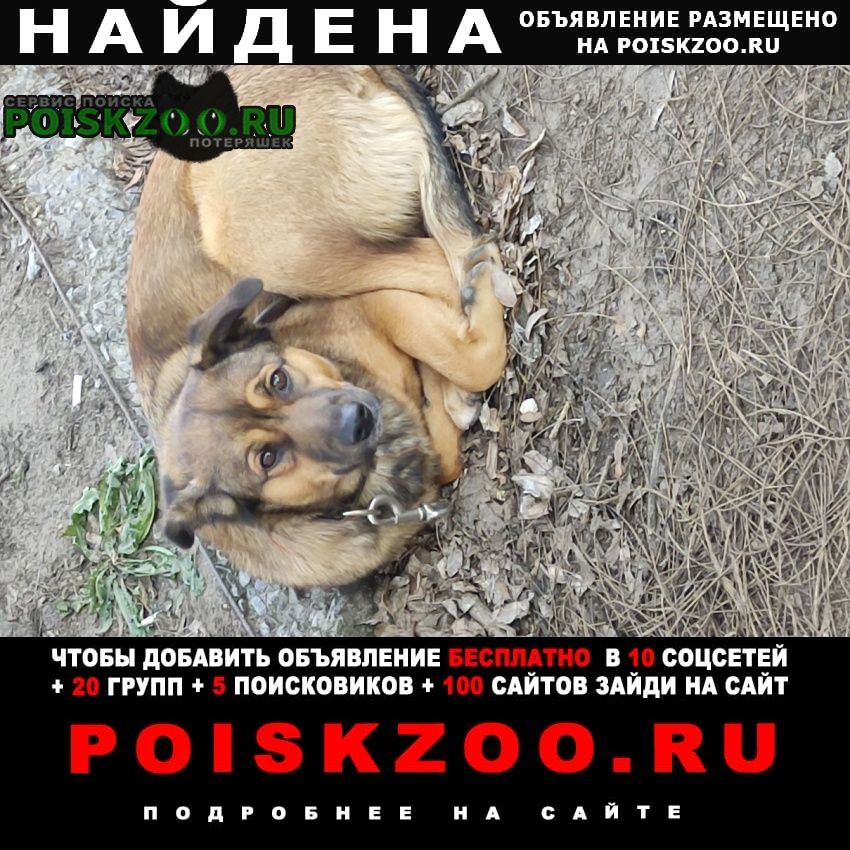 ���� ������� ������