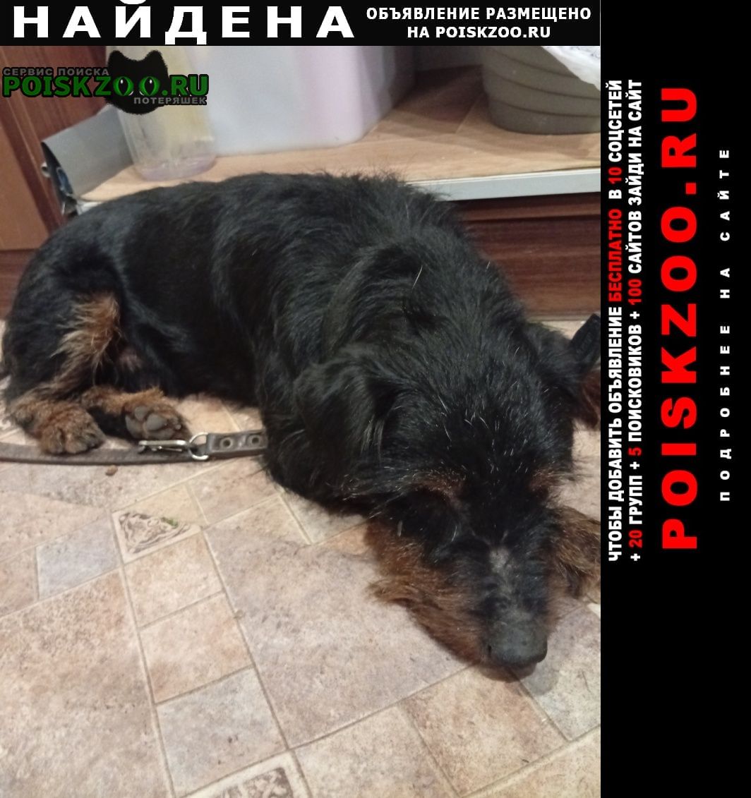 ���� ������� ������ � �. ��������� ������