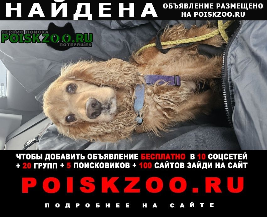 ���� ������� ������ ������ ����� ��������, ���� ������ ��� ��������