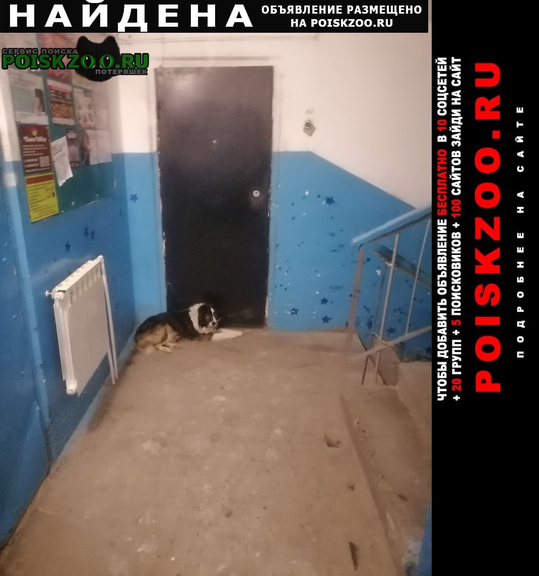 ���� ������� ������