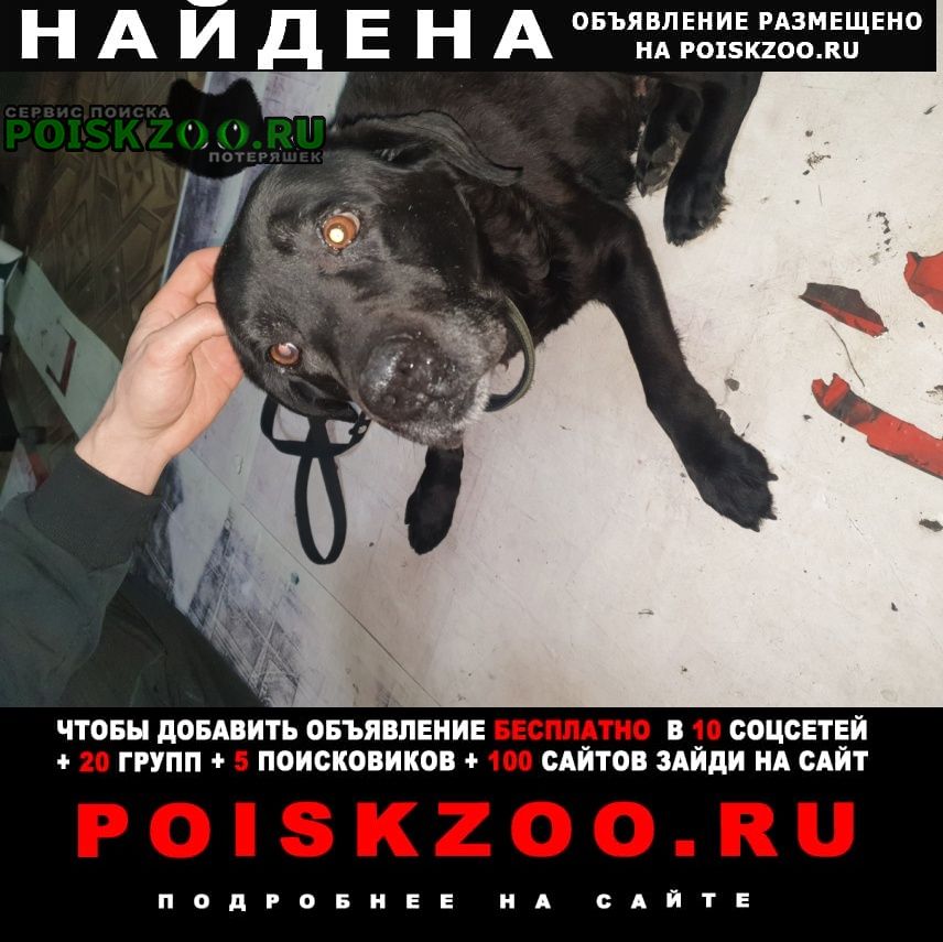 ���� ������� ������ ������ �������� �������