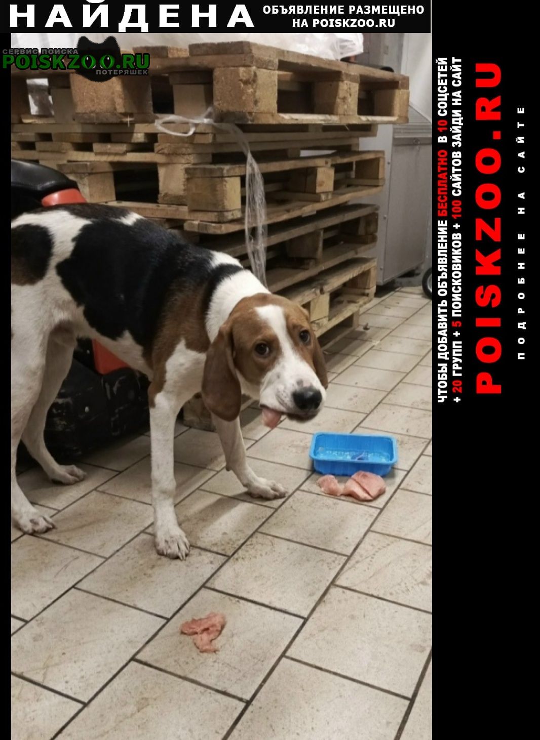 ���� ������� ������ ������ ��������� ������, �����