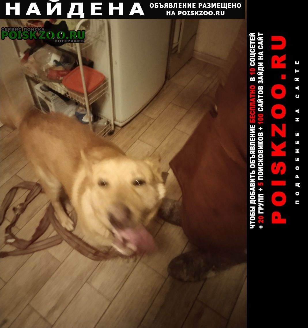 ���� ������� ������.