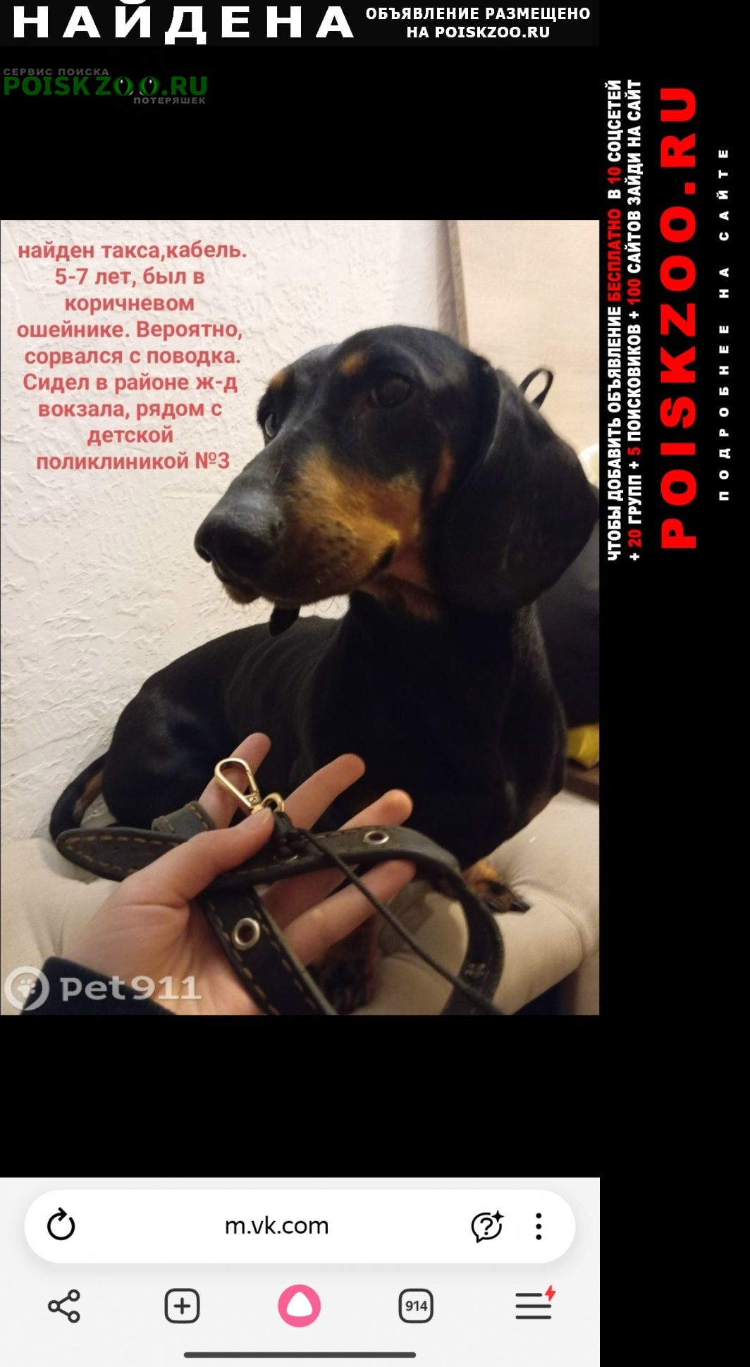 ���� ������� ������ ������ ����� �����