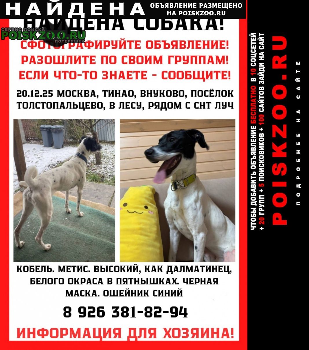 ���� ������� ������ ������