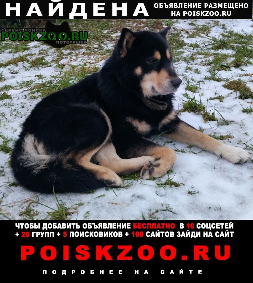 ���� ������� ������ ������