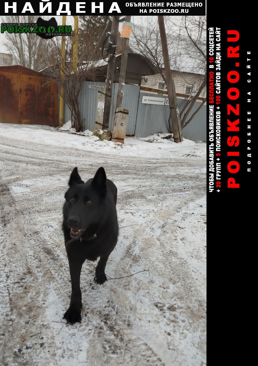 ���� ������� ������