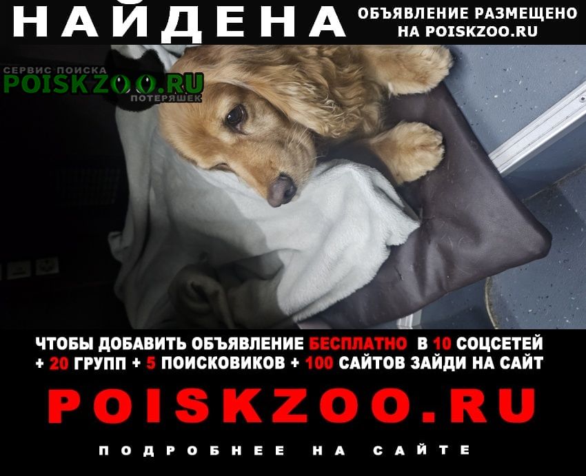 ���� ������� ������ ������