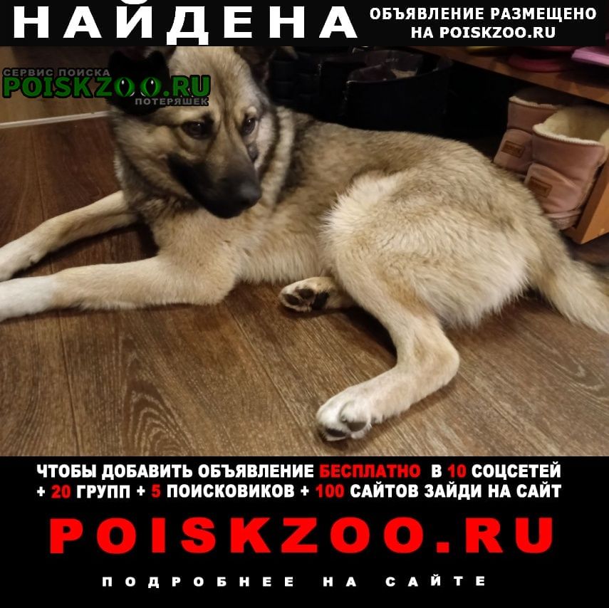 ���� ������� ������ ������