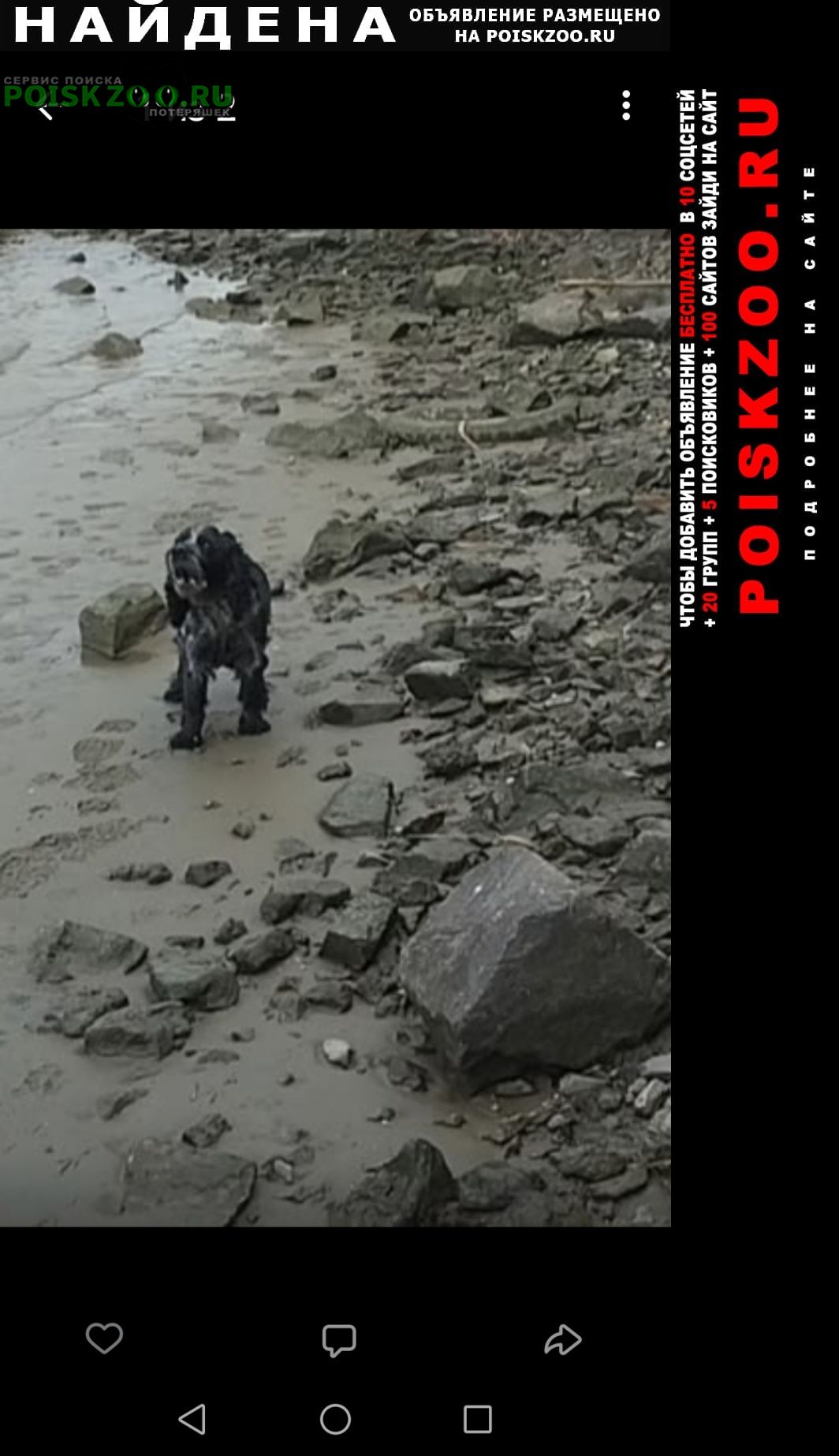 ���� ������� ������