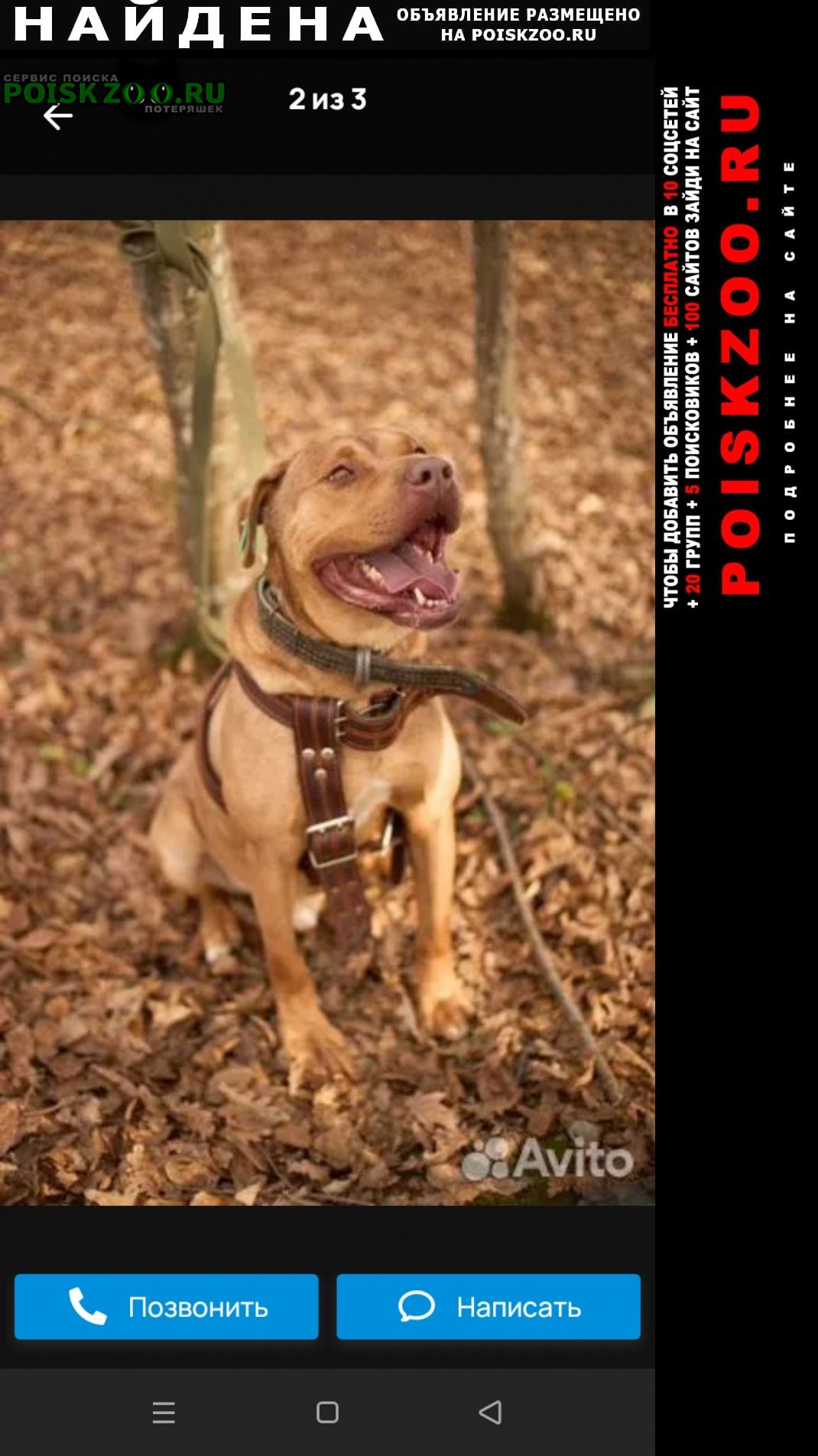 ���� ������� ������ ������