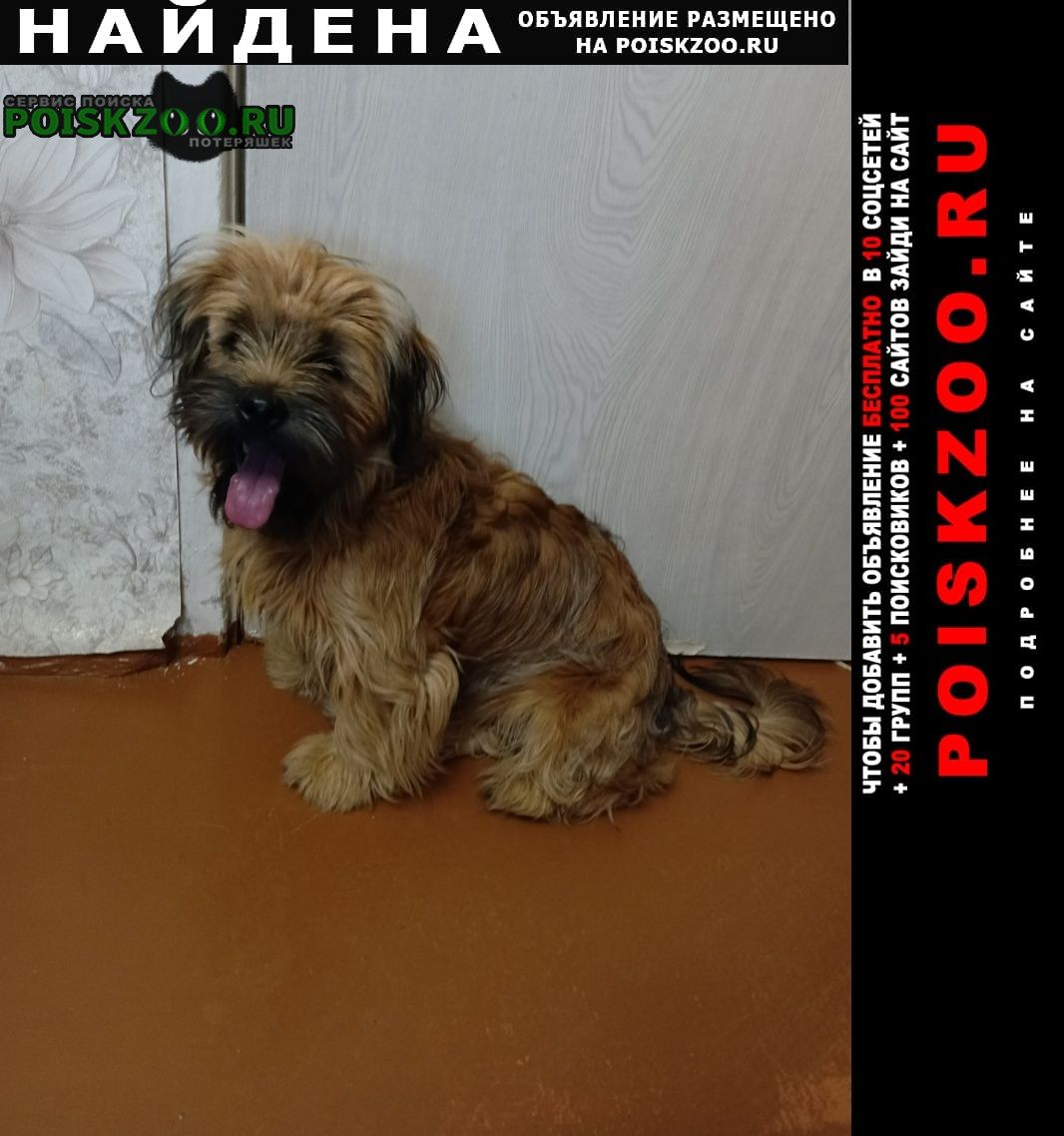 ���� ������� ������