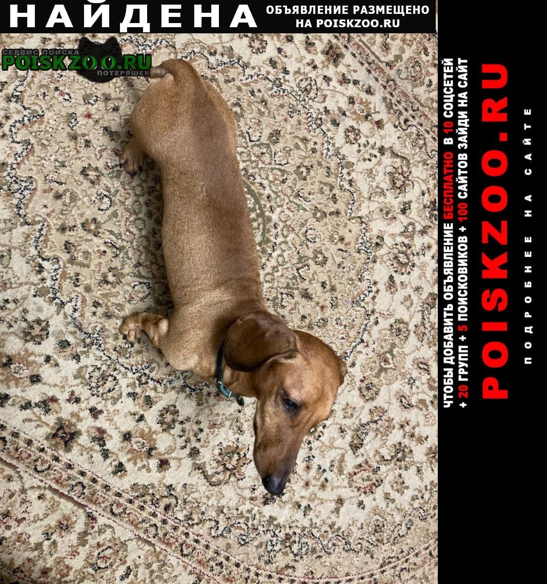 ���� ������� ������ ������