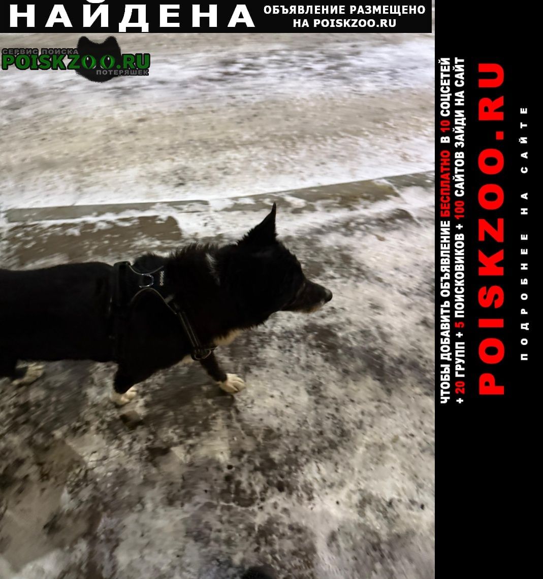 ���� ������� ������.