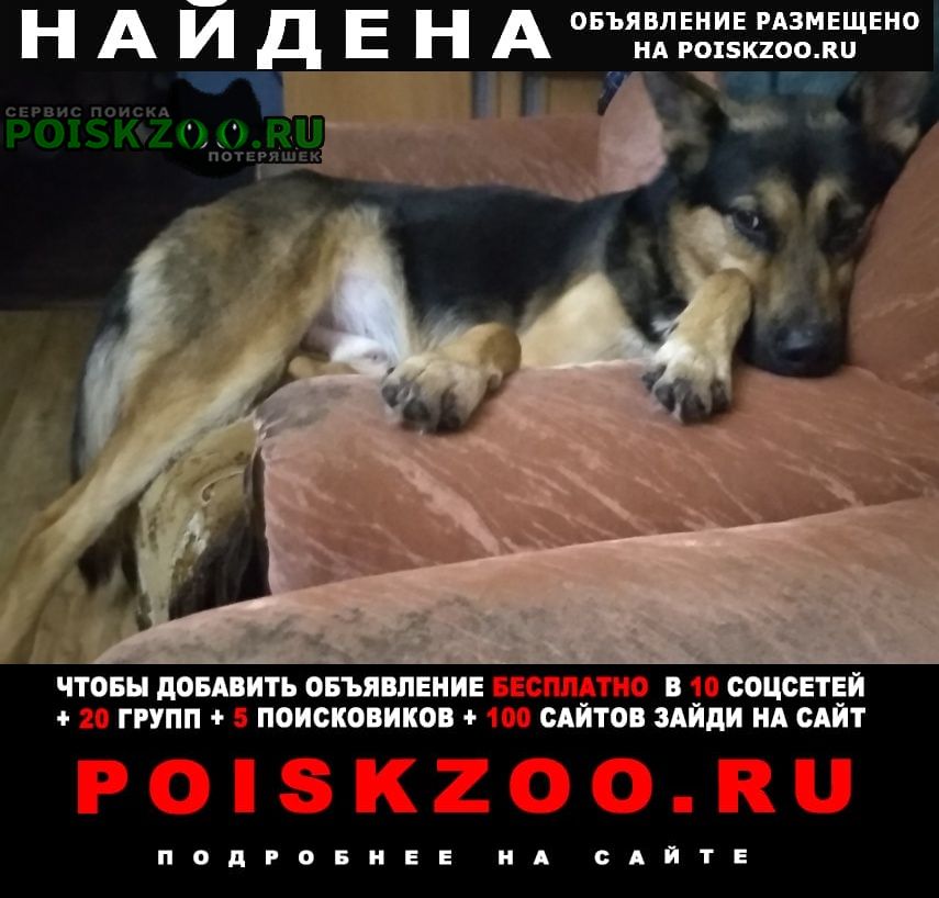 ���� ������� ������ ������