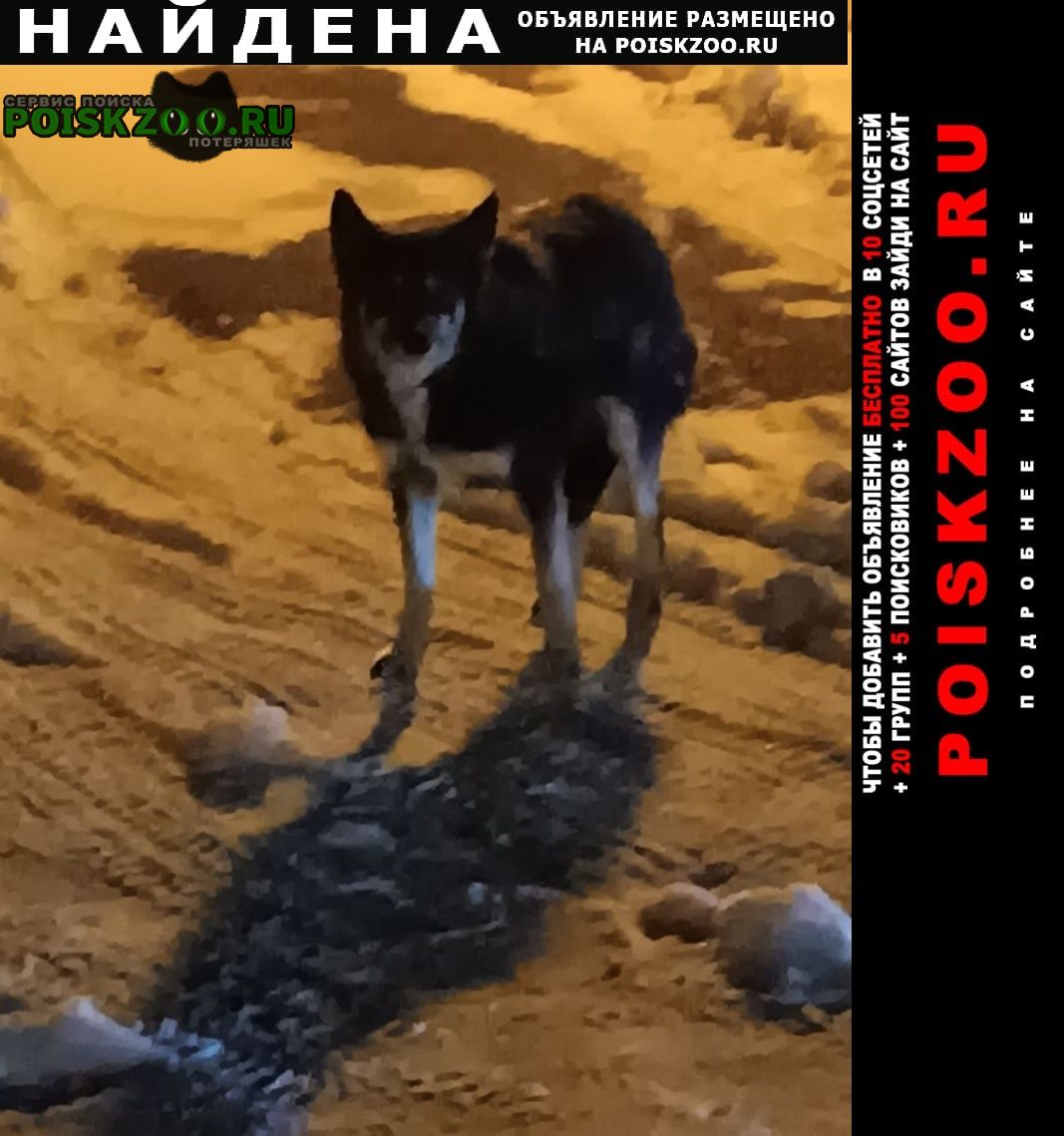 ���� ������� ������