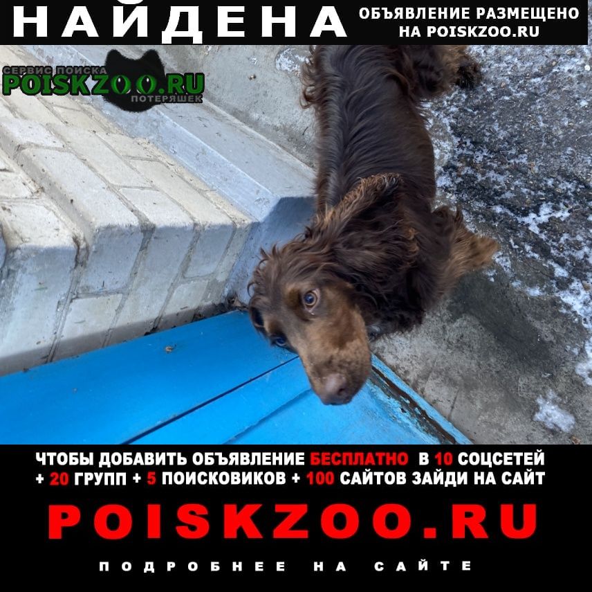 ���� ������� ������ ������