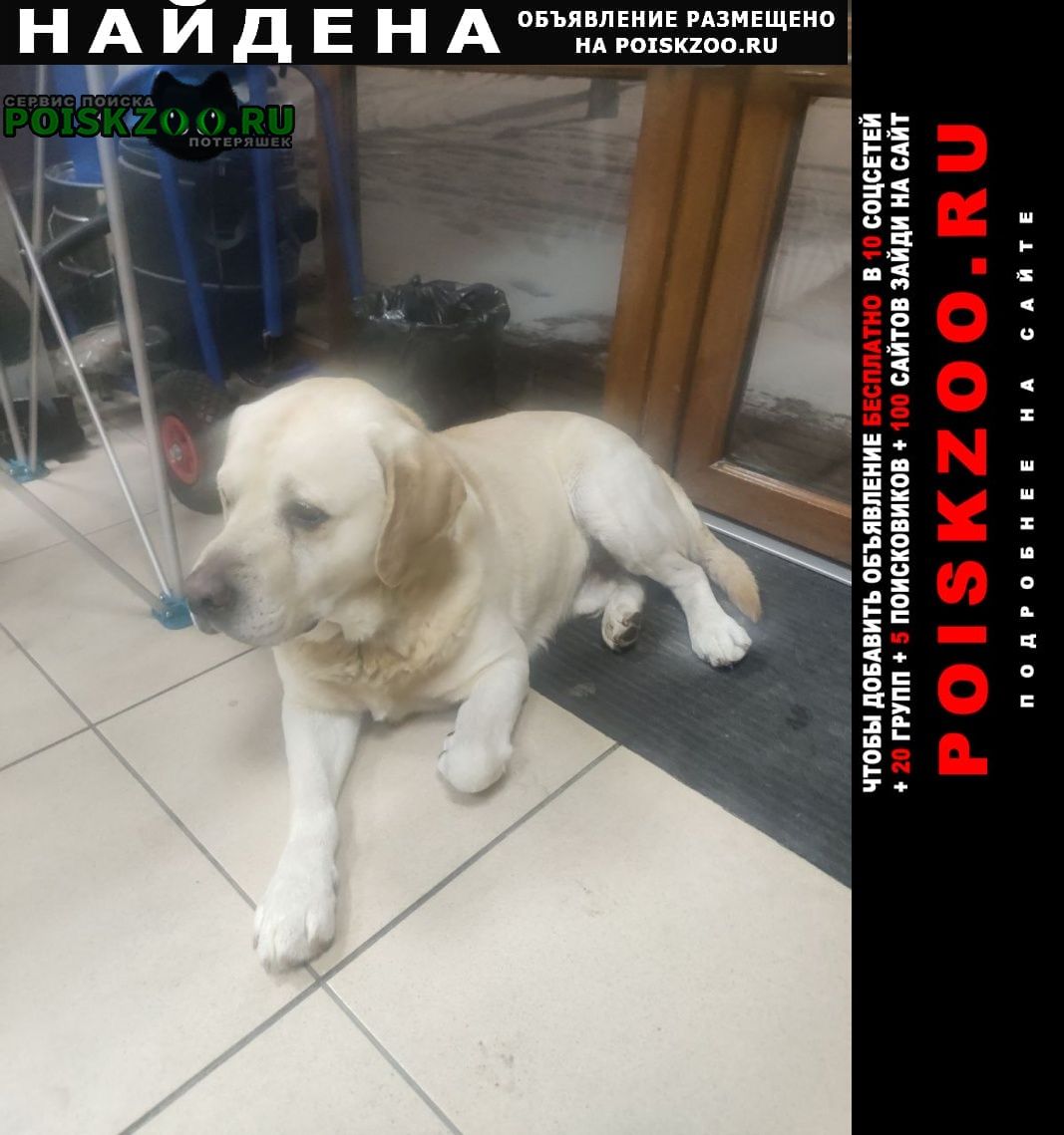 ���� ������� ������ �������� � ���������