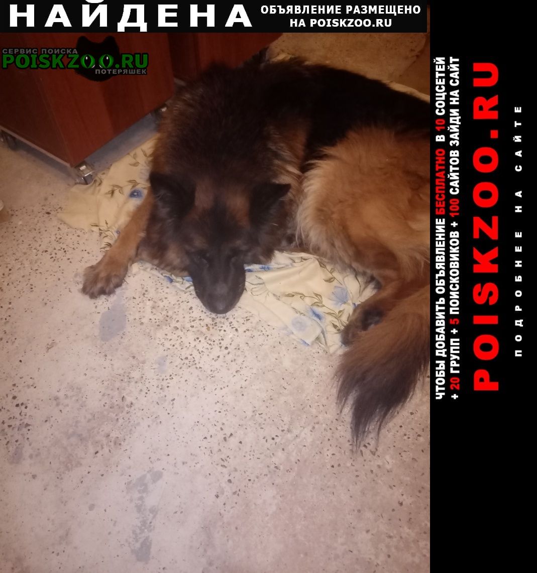 ���� ������� ������ ������� ��������