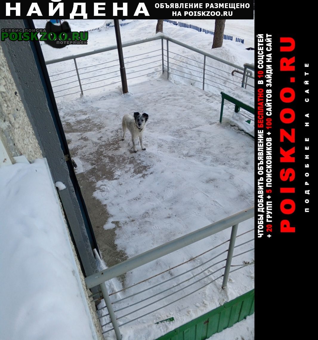 ���� ������� ������